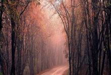 这就是三巨头的实力？76人提前8场正式无缘季后赛+附加赛.