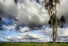 莱万谈伤病：我过去三场比赛遇到一些问题，希望不太严重.