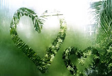 乐天堂：世界冠军肖若腾，已任北京先农坛体校副校长北京日报微信公众号.