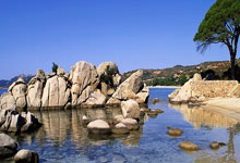 乐天堂：欧文：如果纽卡今夏有意出售伊萨克，利物浦应该竭尽所能去签下他.